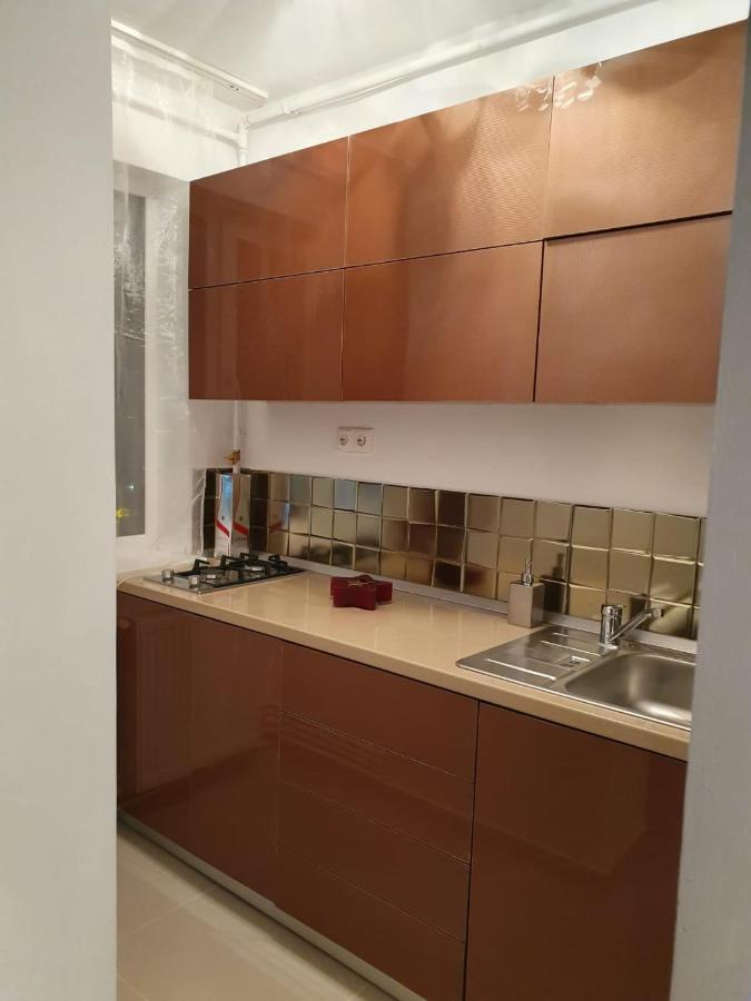 Apartament Garsoniera Mihaela Deva Zewnętrze zdjęcie